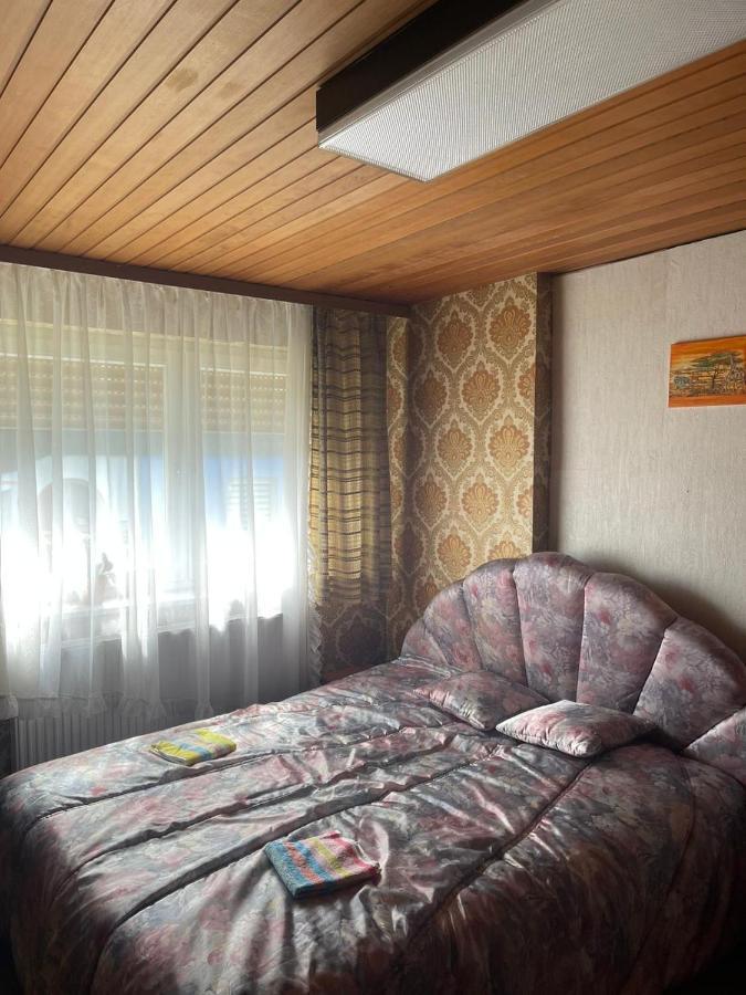 Haus Rennsteig Villa Reichenbach im Vogtland Kültér fotó